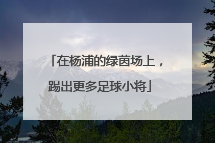 在杨浦的绿茵场上，踢出更多足球小将