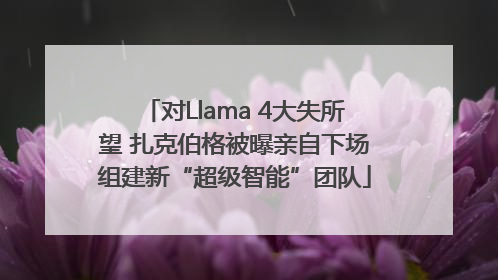 对Llama 4大失所望 扎克伯格被曝亲自下场组建新“超级智能”团队