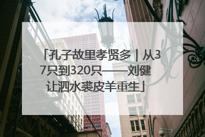 孔子故里孝贤多｜从37只到320只——刘健让泗水裘皮羊重生