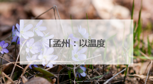 孟州：以温度与速度书写高质量发展答卷