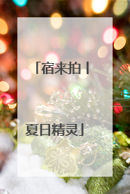 宿来拍丨夏日精灵