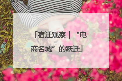 宿迁观察｜“电商名城”的跃迁