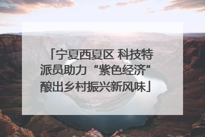 宁夏西夏区 科技特派员助力“紫色经济”酿出乡村振兴新风味