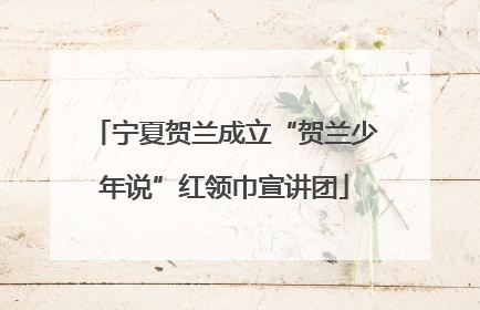 宁夏贺兰成立“贺兰少年说”红领巾宣讲团