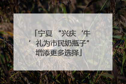 宁夏 “兴庆‘牛’礼为市民奶瓶子”增添更多选择
