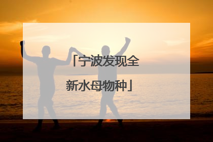 宁波发现全新水母物种