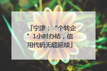 宁津：“个转企”1小时办结，信用代码无缝延续