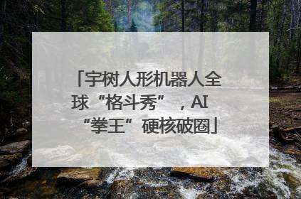 宇树人形机器人全球“格斗秀”，AI“拳王”硬核破圈