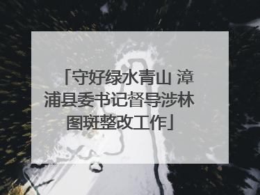 守好绿水青山 漳浦县委书记督导涉林图斑整改工作