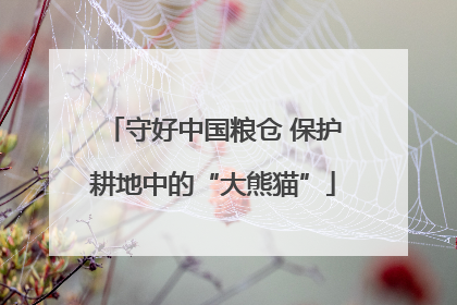 守好中国粮仓 保护耕地中的“大熊猫”