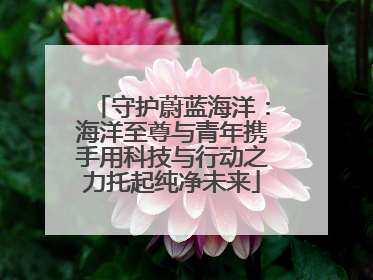 守护蔚蓝海洋：海洋至尊与青年携手用科技与行动之力托起纯净未来