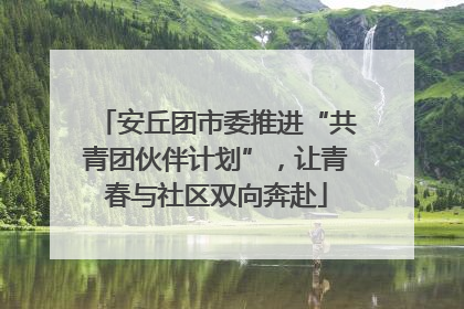 安丘团市委推进“共青团伙伴计划”，让青春与社区双向奔赴