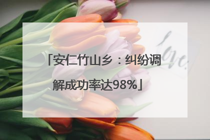 安仁竹山乡：纠纷调解成功率达98%