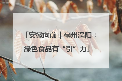 安徽向前｜亳州涡阳：绿色食品有“引”力