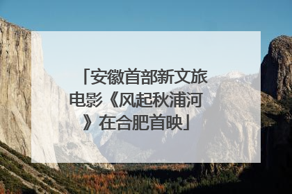 安徽首部新文旅电影《风起秋浦河》在合肥首映