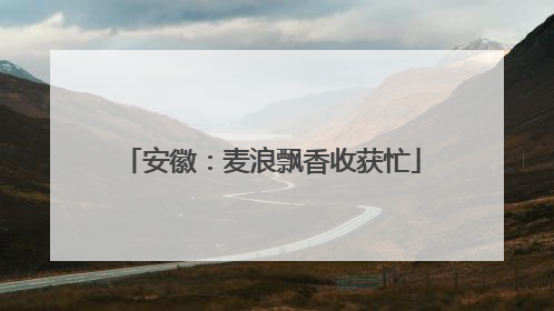 安徽：麦浪飘香收获忙