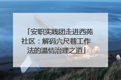 安职实践团走进西苑社区：解码六尺巷工作法的温情治理之道