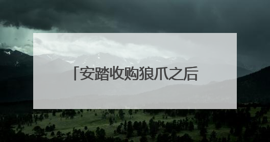 安踏收购狼爪之后，谁会是鸭鸭羽绒服的“国际跳板”？