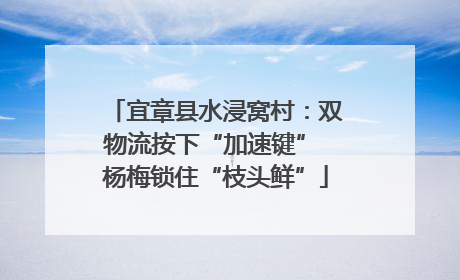 宜章县水浸窝村：双物流按下“加速键” 杨梅锁住“枝头鲜”