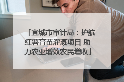 宜城市审计局：护航红薯育苗灌溉项目 助力农业增效农民增收