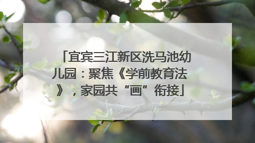 宜宾三江新区洗马池幼儿园：聚焦《学前教育法》，家园共“画”衔接