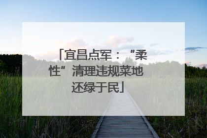 宜昌点军：“柔性”清理违规菜地 还绿于民