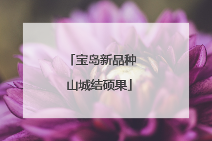 宝岛新品种 山城结硕果