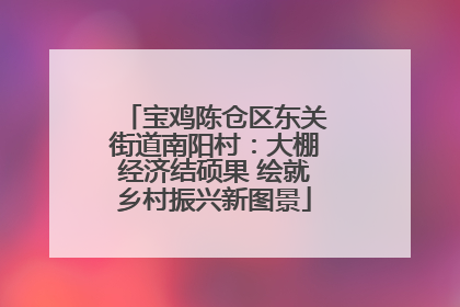 宝鸡陈仓区东关街道南阳村：大棚经济结硕果 绘就乡村振兴新图景