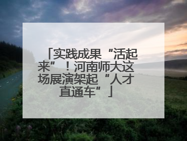实践成果“活起来”！河南师大这场展演架起“人才直通车”