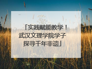 实践赋能教学！武汉文理学院学子探寻千年非遗