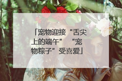 宠物迎接“舌尖上的端午” “宠物粽子”受喜爱