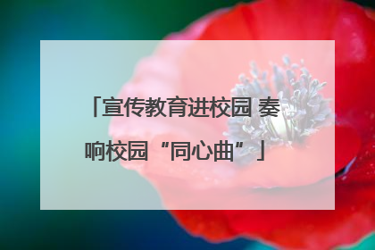 宣传教育进校园 奏响校园“同心曲”