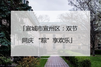 宣城市宣州区：双节同庆 “粽”享欢乐