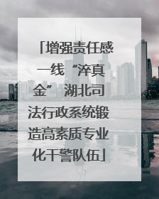 增强责任感 一线“淬真金” 湖北司法行政系统锻造高素质专业化干警队伍