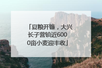 夏粮开镰，大兴长子营镇近6000亩小麦迎丰收