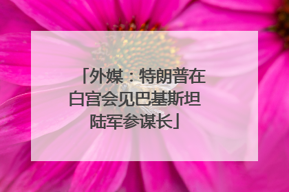 外媒：特朗普在白宫会见巴基斯坦陆军参谋长