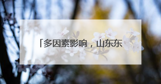 多因素影响，山东东平鸡蛋价格持续低迷