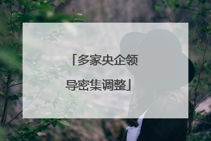 多家央企领导密集调整