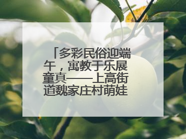 多彩民俗迎端午，寓教于乐展童真——上高街道魏家庄村萌娃传统文化盛宴