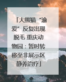 大熊猫“渝爱”反复出现脱毛 重庆动物园：暂时转移至非展示区静养治疗