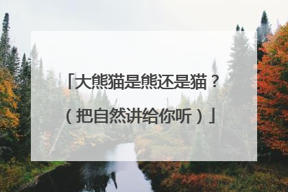 大熊猫是熊还是猫？（把自然讲给你听）