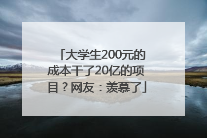 大学生200元的成本干了20亿的项目？网友：羡慕了