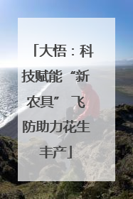 大悟：科技赋能“新农具” 飞防助力花生丰产