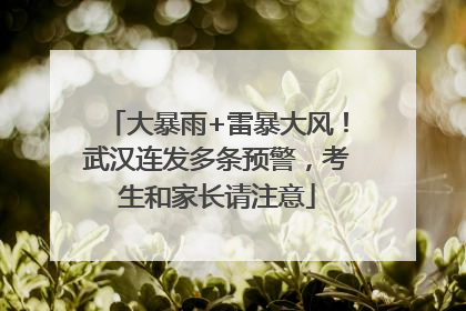大暴雨+雷暴大风！武汉连发多条预警，考生和家长请注意