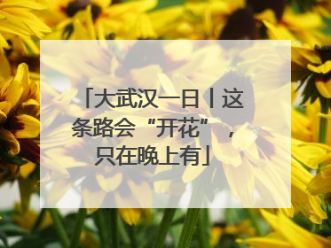 大武汉一日丨这条路会“开花”，只在晚上有