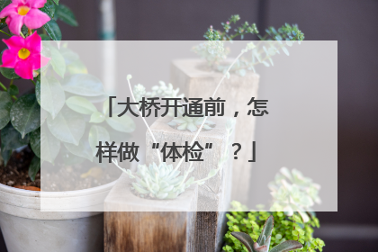 大桥开通前，怎样做“体检”？