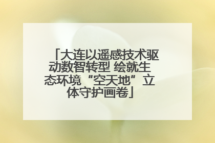 大连以遥感技术驱动数智转型 绘就生态环境“空天地”立体守护画卷
