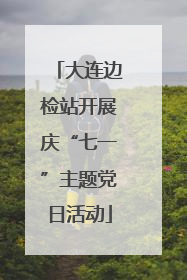 大连边检站开展庆“七一”主题党日活动
