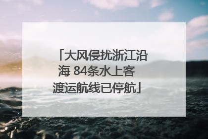 大风侵扰浙江沿海 84条水上客渡运航线已停航
