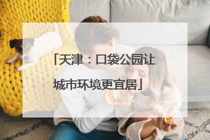 天津：口袋公园让城市环境更宜居